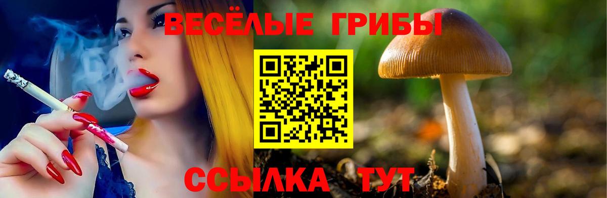 Кашира  Псилоцибиновые грибы мухоморы  Вход с VPN  Псилоцибиновые грибы GOLDEN TEACHER 